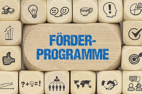 Schriftzug Förderprogramm